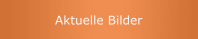 Aktuelle Bilder 